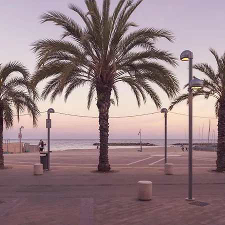 Serena ארמה די טאגיה