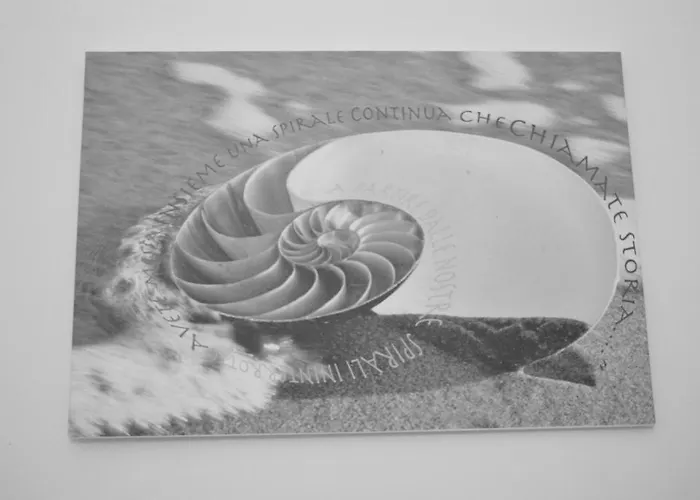 Serena Arma di Taggia